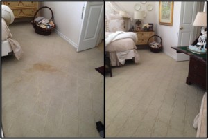 before and after coffee spill on carpet nester