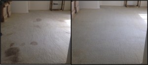 before and after moldy carpet
